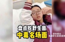 娱乐吃瓜酱野生字幕菌,揭秘幕后花絮，带你领略影视圈真实一面